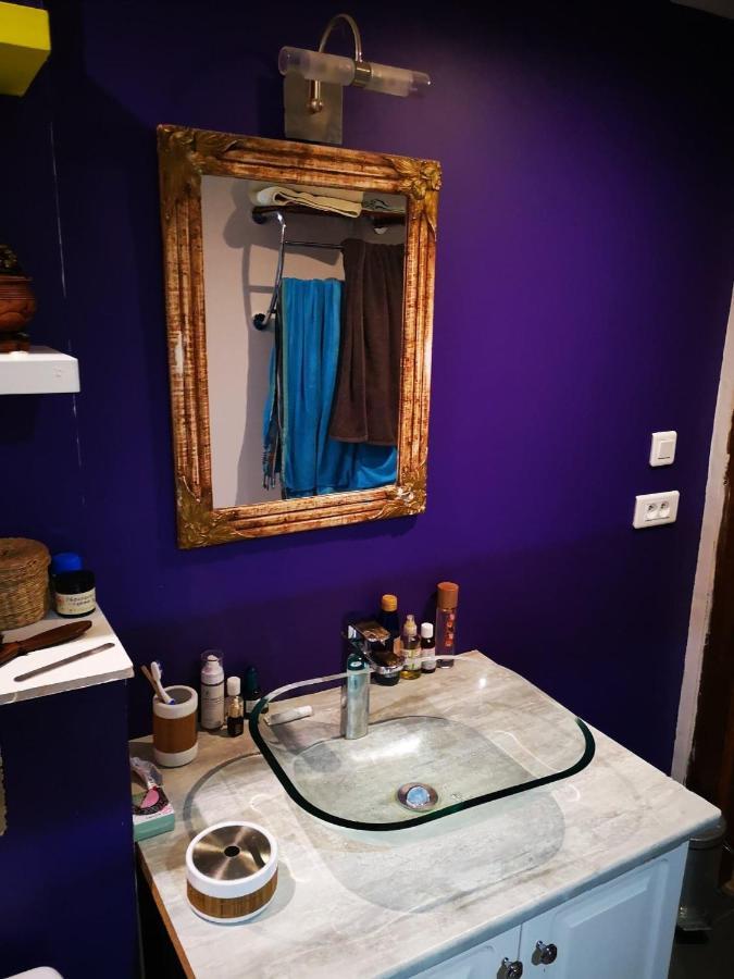 Maison Atypique A Cordes-Sur-Ciel 2 Chambres Zewnętrze zdjęcie